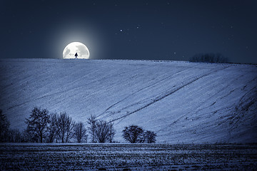 Image showing Winter landscape with moon at night