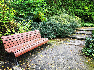 Image showing Wooden bench in a garden in early autumn