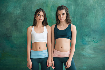 Image showing Two young sporty women posing at gym.