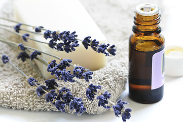 Image showing Lavender soap