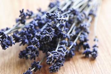 Image showing Dried lavender