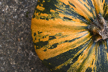 Image showing Close crop of yellow and green striped pumpkin 