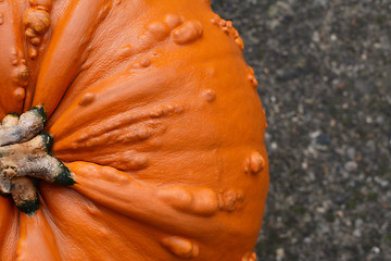 Image showing Close crop of deep orange warty pumpkin 