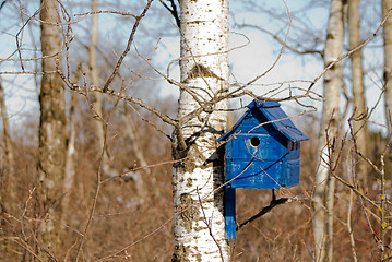 Image showing Blue Bird House