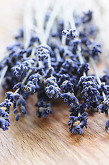 Image showing Dried lavender