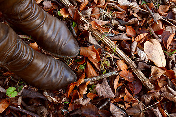 Image showing Woman\'s brown leather boots among autumn leaves and dead wood