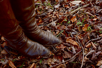 Image showing Woman stands in brown leather boots in an autumnal wood