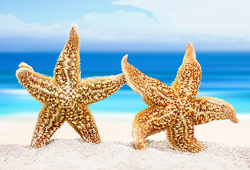 Image showing Two sea stars on the background of the sea shore. The concept of a romantic trip or marriage proposal