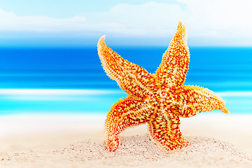 Image showing Dancing starfish against the background of the sea shore