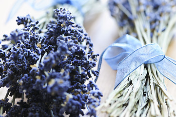 Image showing Dried lavender