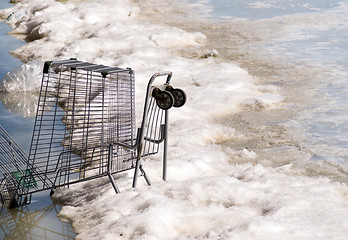 Image showing Shopping Cart In The River