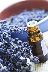 Image showing Lavender herb and essential oil