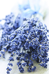 Image showing Dried lavender