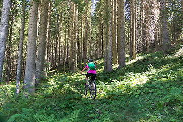 Image showing Active sporty woman riding mountain bike on forest trail .