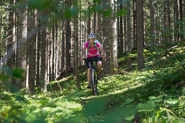 Image showing Active sporty woman riding mountain bike on forest trail .