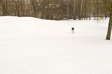 Image showing Green trash bin at the park