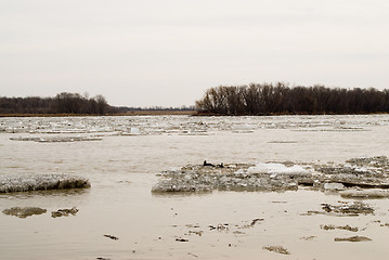 Image showing Thawing River