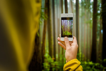 Image showing Taking a photo with her phone