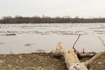 Image showing Flowing River