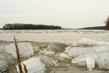 Image showing Spring Thaw