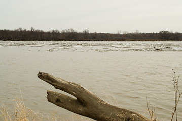 Image showing River Ice