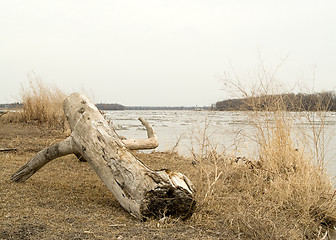 Image showing Flooding River