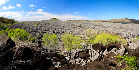 Image showing Tsingy rock formations in Ankarana, Madagascar