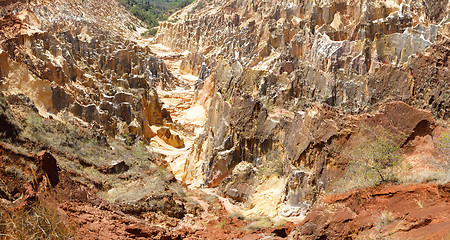 Image showing Ankarokaroka canyon in Ankarafantsika, Madagascar