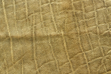 Image showing detailed african elephant pelt