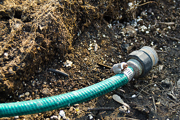 Image showing Garden Hose