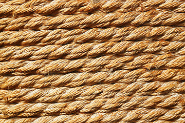 Image showing texture of trellis rope