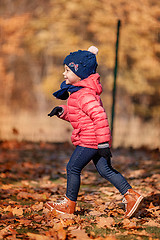 Image showing The little baby girl playing in autumn leaves