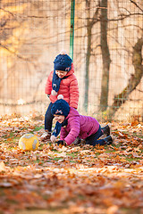 Image showing The two little baby girls playing in autumn leaves