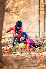 Image showing The two little baby girls playing in autumn leaves