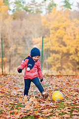 Image showing The little baby girl playing in autumn leaves
