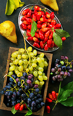 Image showing autumn fruits