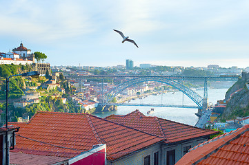 Image showing Seagull flying over Porto, Portugal