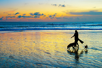 Image showing Strolling with the dogs