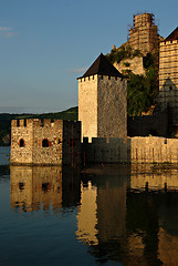 Image showing Fortress Golubac