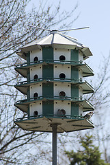 Image showing Multi-level Birdhouse