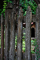 Image showing Fence