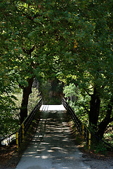 Image showing Country Road