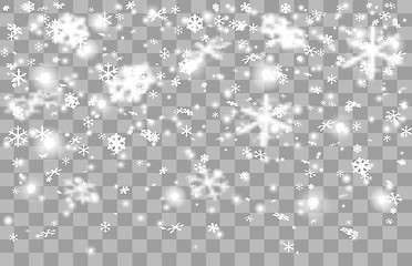 Image showing Falling snow on a transparent background.