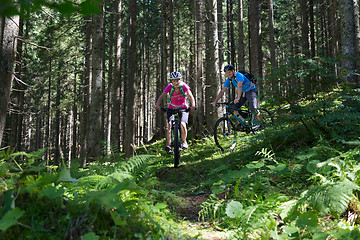 Image showing Active sporty couple riding mountain bikes on forest trail .