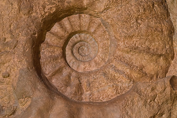 Image showing Shell of prehistoric ammonite imprint on stone