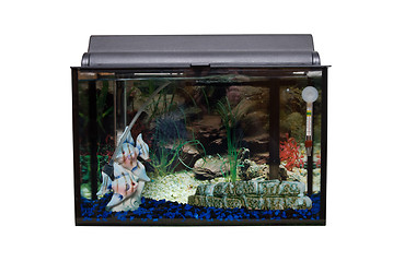 Image showing Isolated Fishtank