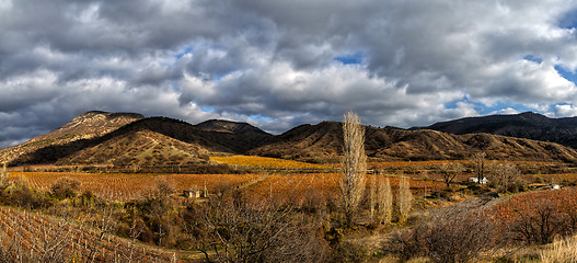 Image showing Vineyards. The Autumn Valley