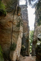 Image showing sandstone rocks - Prachovske skaly (Prachov Rocks)