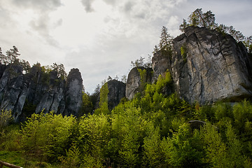 Image showing sandstone rocks - Prachovske skaly (Prachov Rocks)