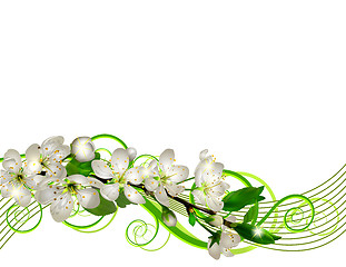 Image showing Blossoming cherry branch with white flowers